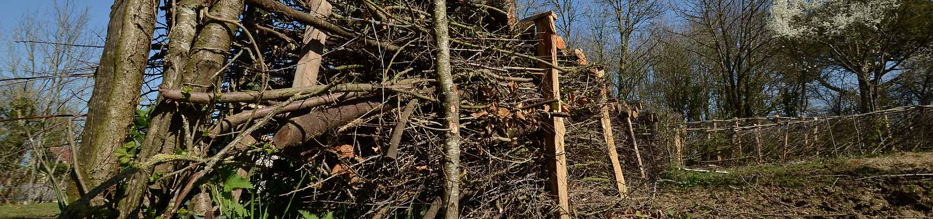 La gestion des déchets