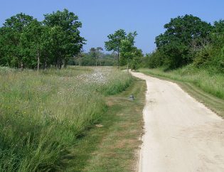 Chemin en gestion différentiée