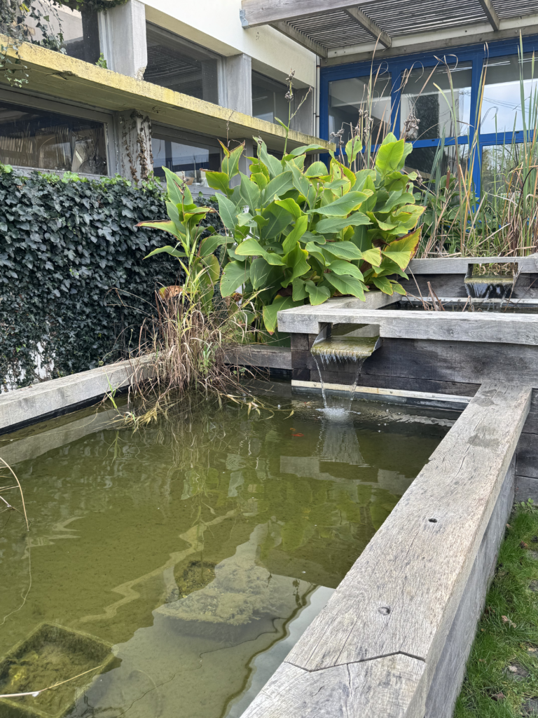 construction-bois-bassin construction-bois-bassin