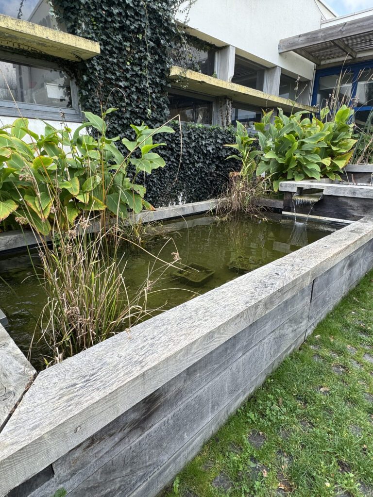 construction-bois-bassin