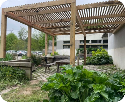 image illustrant une pergolas en bois scié